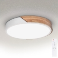 BRILAGI - LED-dæmpbar loftlampe PILANA LED/48W/230V 3000-6500K eg/hvid Ø 40 cm + fjernbetjening