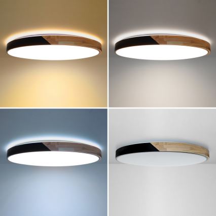Brilagi - LED-dæmpbar loftlampe PILANA LED/72W/230V 3000-6500K eg/sort Ø 80 cm + fjernbetjening