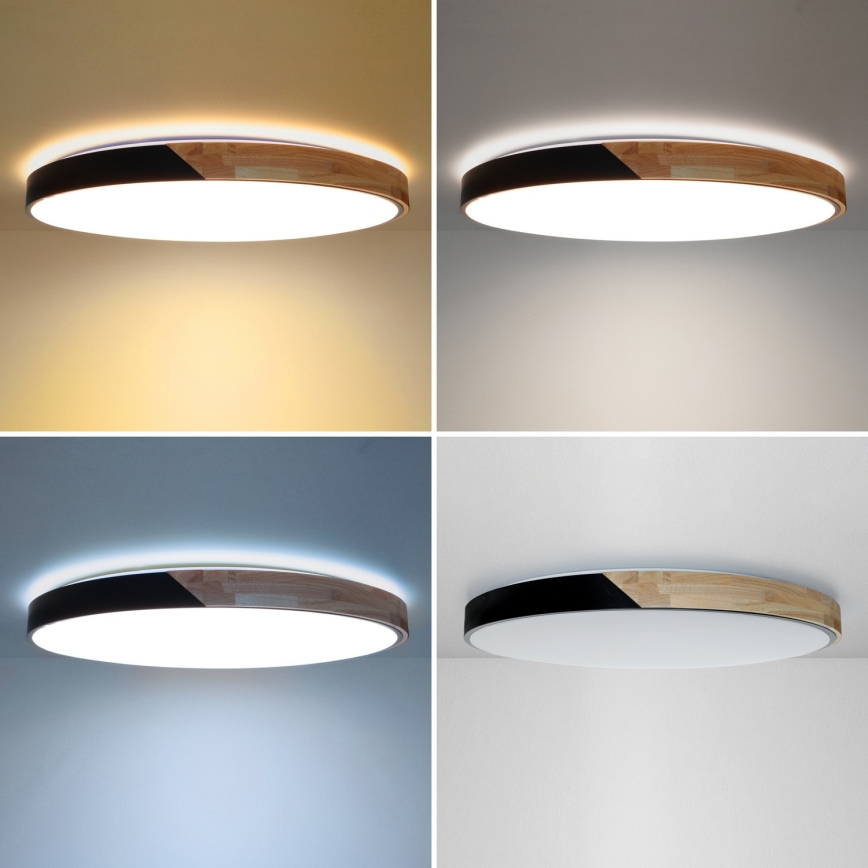 Brilagi - LED-dæmpbar loftlampe PILANA LED/72W/230V 3000-6500K eg/sort Ø 80 cm + fjernbetjening