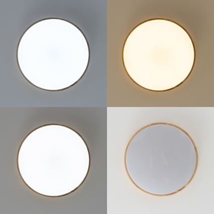 Brilagi - LED-dæmpbar loftlampe PINE LED/24W/230V træ Ø 42 cm 3000–6500 K + fjernbetjening