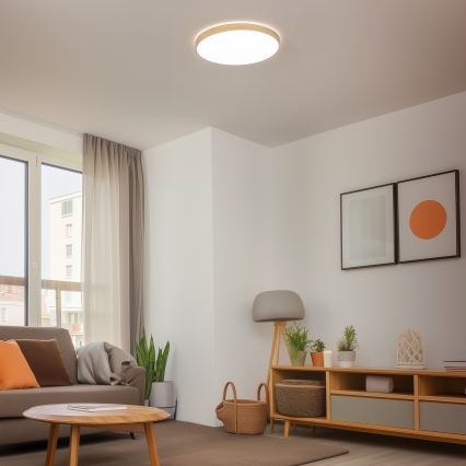 Brilagi - LED-dæmpbar loftlampe PINE LED/60W/230V træ Ø 52 cm 3000-6500K + fjernbetjening