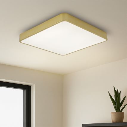 Brilagi - Dæmpbar LED-loftlampe POOL 36W/230V 3000-6000K 40x40 cm guld + fjernbetjening