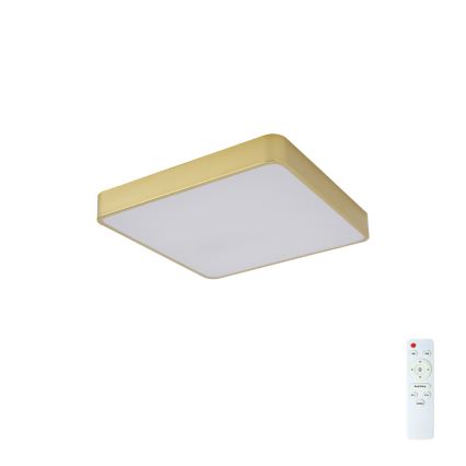 Brilagi - Dæmpbar LED-loftlampe POOL 36W/230V 3000-6000K 40x40 cm guld + fjernbetjening