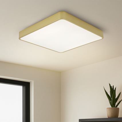 Brilagi - LED-dæmpbart loftarmatur POOL LED/48W/230V 3000-6000K 50x50 cm guld + fjernbetjening