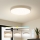 Brilagi - LED dæmpbar loftlampe POOL LED/60W/230V 3000-6000K Ø 50 cm beige + fjernbetjening