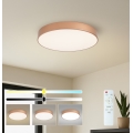 BRILAGI - LED dæmpbar loftlampe POOL LED/60W/230V 3000-6000K Ø 50 cm kobberfarvet + fjernbetjening