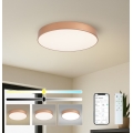 BRILAGI - LED-dæmpbar loftlampe POOL SMART LED/60W/230V 3000-6000K Ø 50 cm Wi-Fi Tuya kobberfarvet + fjernbetjening