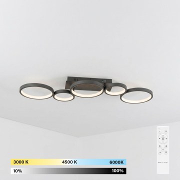 Brilagi - LED dæmpbar loftlampe RINGO LED/34W/230V 3000-6000K 28x84 cm sort + fjernbetjening