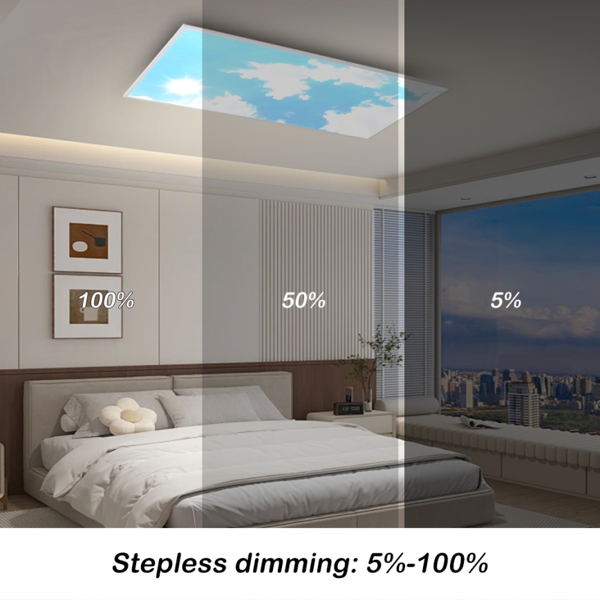 Brilagi - LED dæmpbar loftarmatur SLIMFRAME SKY LED/80W/230V 120x60 cm 3000-6000K sølv/blå + fjernbetjening