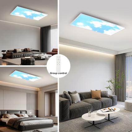 Brilagi - LED dæmpbar loftarmatur SLIMFRAME SKY LED/80W/230V 120x60 cm 3000-6000K sølv/blå + fjernbetjening