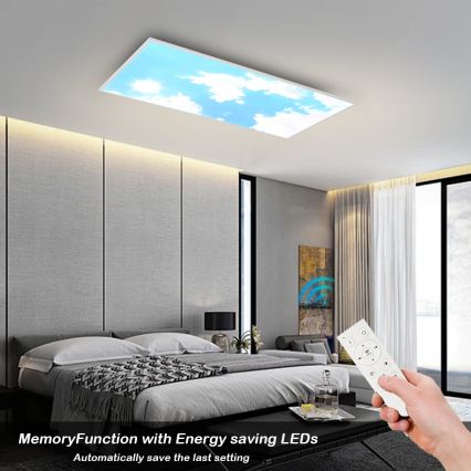 Brilagi - LED dæmpbar loftarmatur SLIMFRAME SKY LED/80W/230V 120x60 cm 3000-6000K sølv/blå + fjernbetjening