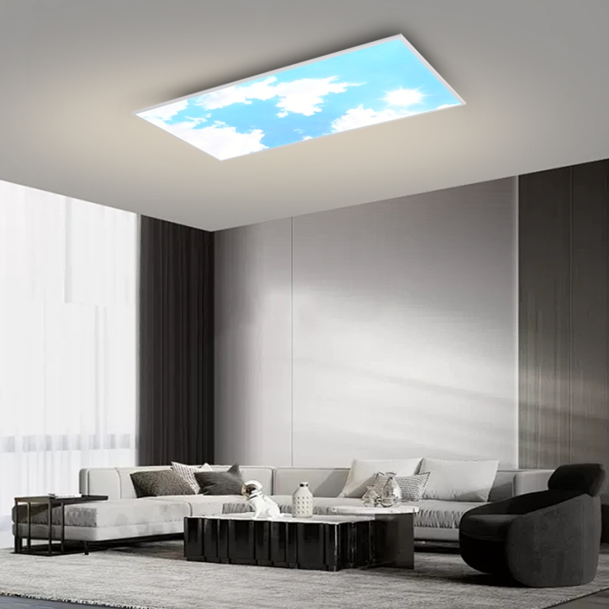 Brilagi - LED dæmpbar loftarmatur SLIMFRAME SKY LED/80W/230V 120x60 cm 3000-6000K sølv/blå + fjernbetjening