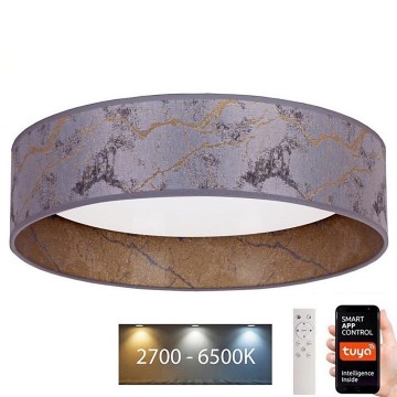 Brilagi - LED dæmpbar loftlampe VELVET SMART LED/24W/230V Ø 45 cm 2700-6500K Wi-Fi Tuya grå/guld + fjernbetjening