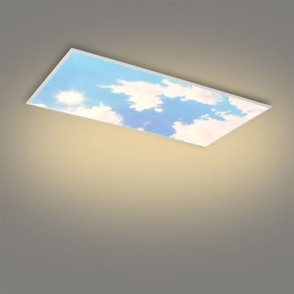 Brilagi - LED-dæmpbart loftarmatur SLIMFRAME LED/80W/230V 120x60 cm 3000-6000K sølv/blå + fjernbetjening