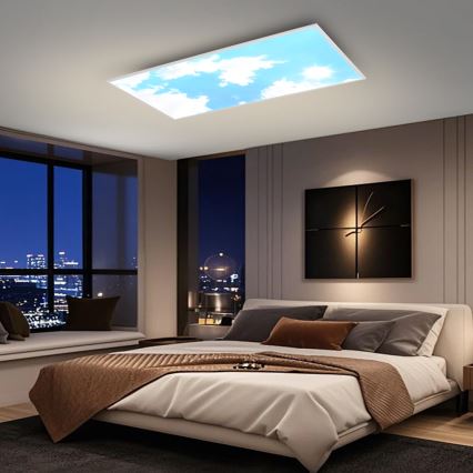 Brilagi - LED-dæmpbart loftarmatur SLIMFRAME LED/80W/230V 120x60 cm 3000-6000K sølv/blå + fjernbetjening