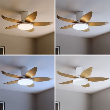 Brilagi - LED-dæmpbar loftventilator, LED/32W/230V, 3000-6500K, Ø 95 cm, hvid/brun med fjernbetjening