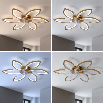 Brilagi - Dæmpbar LED-loftventilator LED/34W/230V pr. 78 cm, guld + fjernbetjening