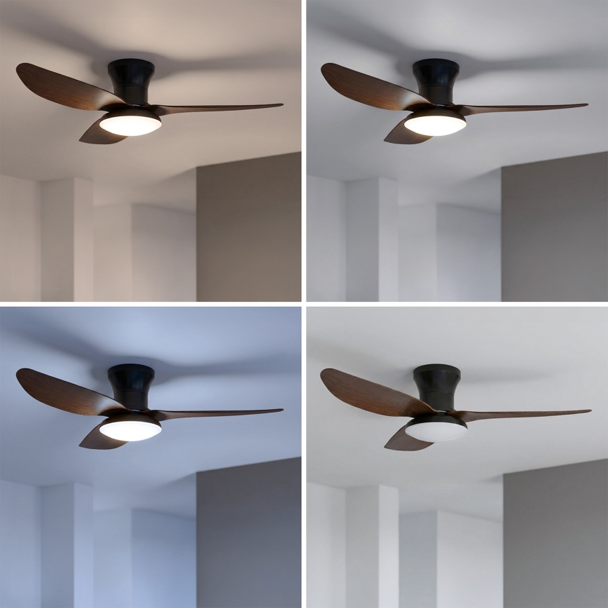Brilagi - LED-dæmpbar loftventilator LED/38W/230V 3000-6500K Ø100 cm sort/brun + fjernbetjening