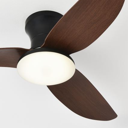 Brilagi - LED-dæmpbar loftventilator LED/38W/230V 3000-6500K Ø100 cm sort/brun + fjernbetjening
