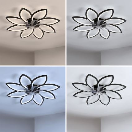 Brilagi - LED-dæmpbar loftsventilator LED/43 W/230 V 3000–6500 K Ø 90 cm sort + fjernbetjening