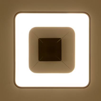 Brilagi - LED-dæmpbar pendel på kabel FALCON II LED/80W/230V 3000-6500K 40x40 cm sort + fjernbetjening