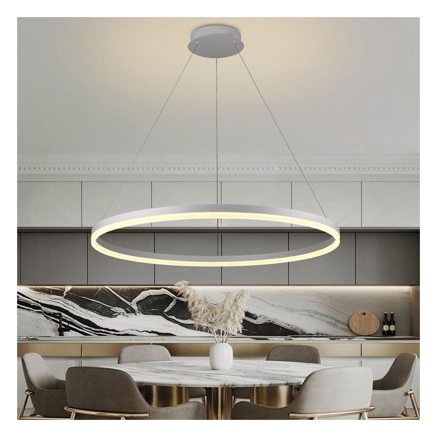 Brilagi - LED-dæmpbar pendel med wireophæng CIRCLE LED/55W/230V 3000-6500K Ø 80 cm hvid + fjernbetjening