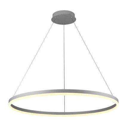 Brilagi - LED-dæmpbar pendel med wireophæng CIRCLE LED/55W/230V 3000-6500K Ø 80 cm hvid + fjernbetjening