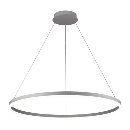 Brilagi - LED-dæmpbar pendel med wireophæng CIRCLE LED/55W/230V 3000-6500K Ø 80 cm hvid + fjernbetjening