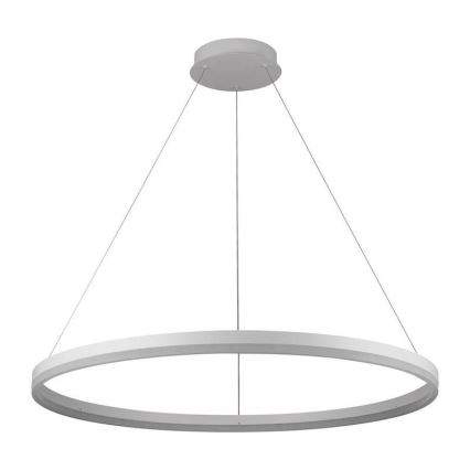 Brilagi - LED-dæmpbar pendel med wireophæng CIRCLE LED/55W/230V 3000-6500K Ø 80 cm hvid + fjernbetjening