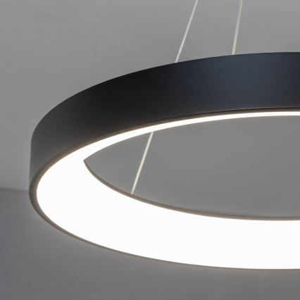 BRILAGI - Dæmpbar LED-pendel med wireophæng FALCON II LED/99W/230V 3000-6500K Ø 60 cm sort + fjernbetjening