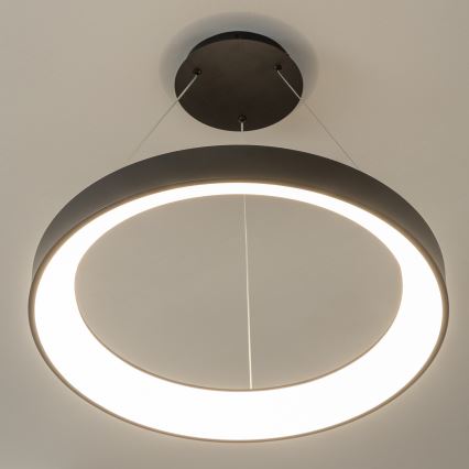 BRILAGI - Dæmpbar LED-pendel med wireophæng FALCON II LED/99W/230V 3000-6500K Ø 60 cm sort + fjernbetjening