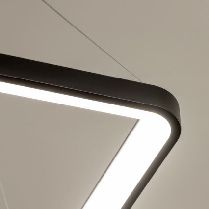 Brilagi - LED dæmpbar pendel på wire FALCON SLIM LED/50W/230V 3000-6500K 50x50 cm sort + fjernbetjening