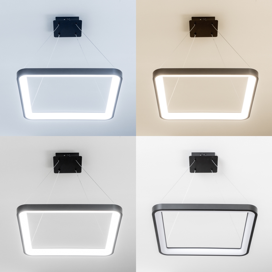 Brilagi - LED dæmpbar pendel på wire FALCON SLIM LED/50W/230V 3000-6500K 50x50 cm sort + fjernbetjening