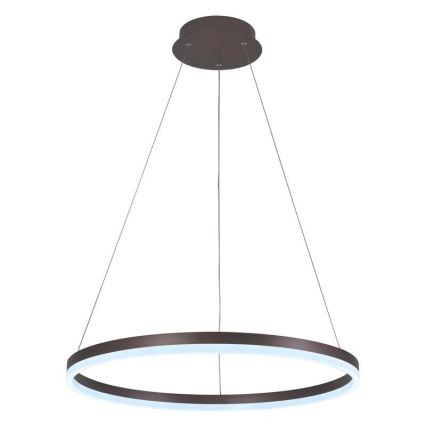 Brilagi - Dæmpbar LED-pendel på wire CIRCLE LED/42W/230V 3000-6500K Ø 60 cm brun + fjernbetjening