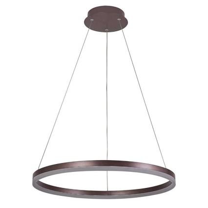 Brilagi - Dæmpbar LED-pendel på wire CIRCLE LED/42W/230V 3000-6500K Ø 60 cm brun + fjernbetjening