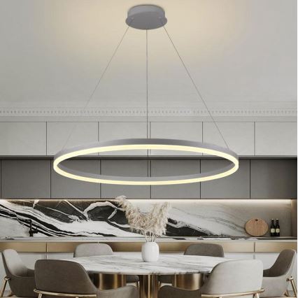 Brilagi - Dæmpbar LED-pendel på wire CIRCLE LED/55W/230V 3000–6500K Ø 80 cm, sølv + fjernbetjening