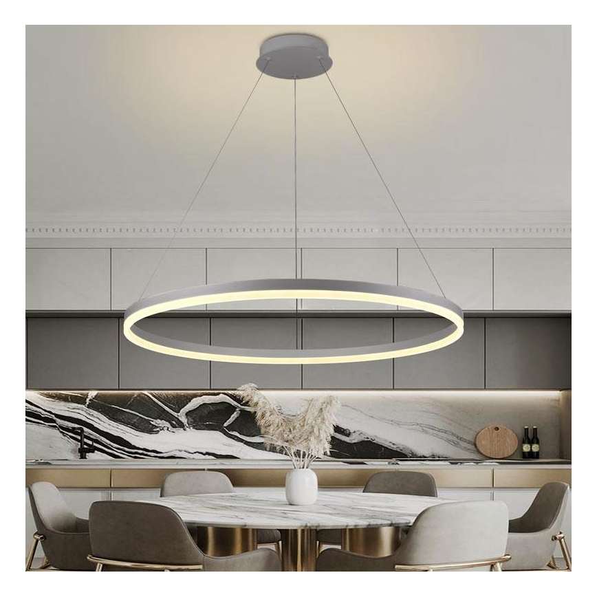 Brilagi - Dæmpbar LED-pendel på wire CIRCLE LED/55W/230V 3000–6500K Ø 80 cm, sølv + fjernbetjening