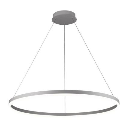 Brilagi - Dæmpbar LED-pendel på wire CIRCLE LED/55W/230V 3000–6500K Ø 80 cm, sølv + fjernbetjening
