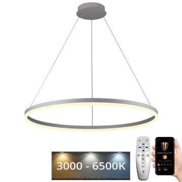 Brilagi - LED-dæmpbar pendel med wireophæng CIRCLE LED/55W/230V 3000-6500K Ø 80 cm hvid + fjernbetjening