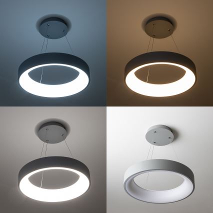 Brilagi - Dæmpbar LED-pendel med wireophæng FALCON LED/80W/230V 3000-6500K Ø 60 cm grå + fjernbetjening