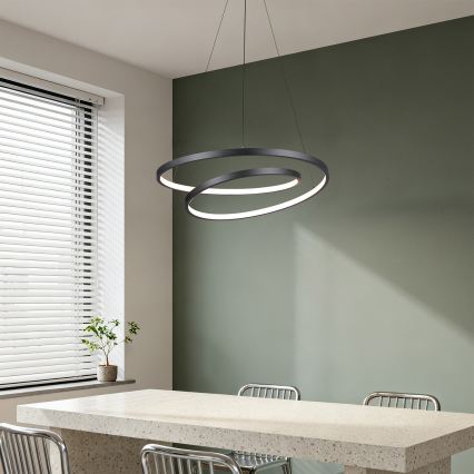 Brilagi - LED-dæmpbar pendel på wire TWISTER LED/48W/230V 3000–6000K Ø 50 cm sort + fjernbetjening