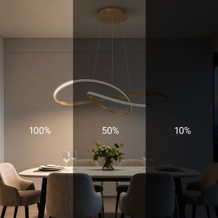Brilagi - Dæmpbar LED-pendel på wire INFINITY LED/80W/230V 3000-6000K 80x80 cm guld + fjernbetjening