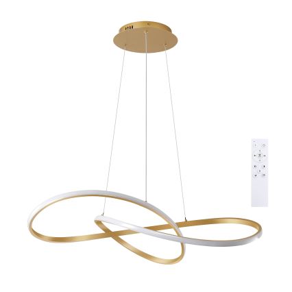 Brilagi - Dæmpbar LED-pendel på wire INFINITY LED/80W/230V 3000-6000K 80x80 cm guld + fjernbetjening