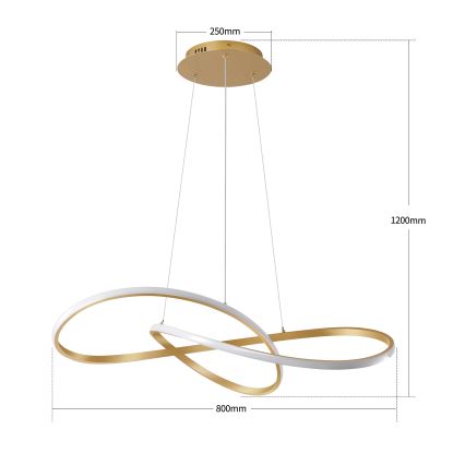 Brilagi - Dæmpbar LED-pendel på wire INFINITY LED/80W/230V 3000-6000K 80x80 cm guld + fjernbetjening
