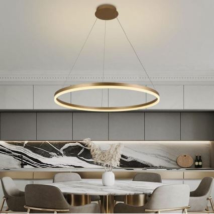Brilagi - Dæmpbar LED-pendel med wire CIRCLE LED/55W/230V 3000-6500K Ø 80 cm guld + fjernbetjening