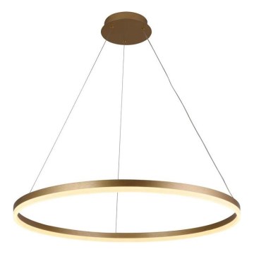 Brilagi - LED dæmpbar pendel på wire CIRCLE LED/55W/230V 3000-6500K ø 80 cm guld + fjernbetjening
