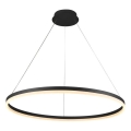 Brilagi - LED dæmpbar pendel på wire CIRCLE LED/55W/230V 3000-6500K Ø 80 cm sort + fjernbetjening