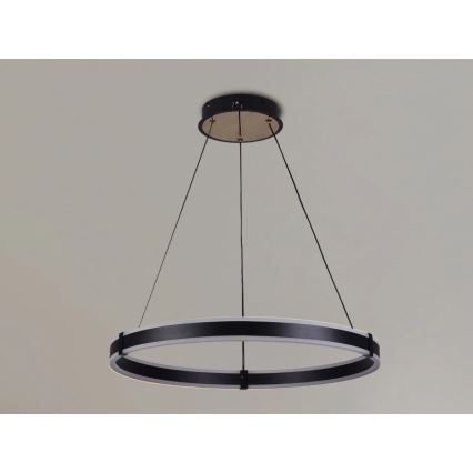 Brilagi - Dæmpbar LED-pendel på wire CIRCLE LED/85W/230V 3000-6500K Ø 60 cm sort/guld + fjernbetjening