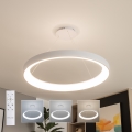Brilagi - LED dæmpbar pendel på wire FALCON II LED/108W/230V 3000-6500K Ø 80 cm hvid + fjernbetjening