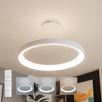 Brilagi - LED dæmpbar pendel på wire FALCON II LED/108W/230V 3000-6500K Ø 80 cm hvid + fjernbetjening
